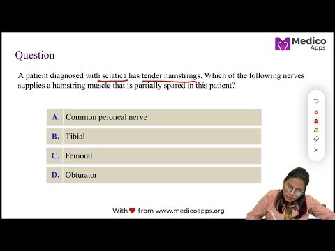 NEET PG 2025:Most Asked Question on Hamstring Innervation|Secret, Trick|Dr Suvarna Anik|5Min Concept