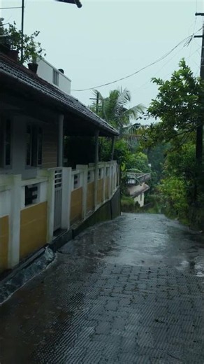 Relaxing Rainy Day #walk #sleepsounds #rainyday #asmrsounds