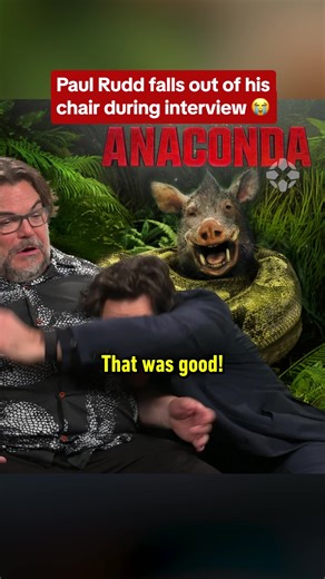 Needless to say this interview was chaotic. #paulrudd #jackblack #anaconda #movie #interview