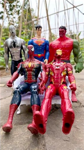 Organic Vegetable Garden With Superman Team And Finish