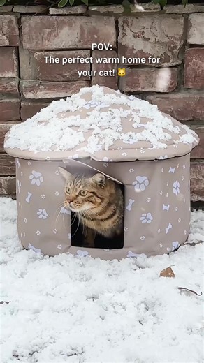 A weather-ready hideaway that gives outdoor cats a safe, enclosed spot to rest and stay dry. 🔍 Find it at https://temu.to/m/gquodlvm4bw or with this code fdg8848. #temu #petcare | Temu
