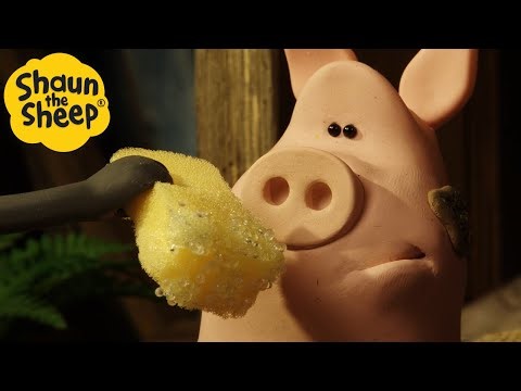 Pig Wash😲 | Shaun the Sheep Compilation | Shaun the Sheep & Friends