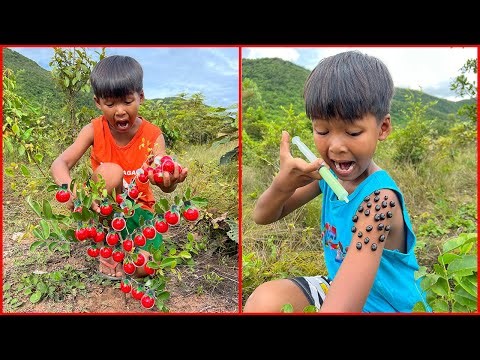 Survival Skills: SMART idea and USEFL in forest with single mom #bushcraft #camping #outdoors #idea