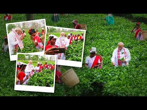 PM Modi visits Tea Garden in Assam... What happened next will surprise you!