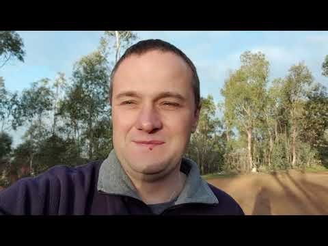 How to pass "this" as well as v-model from input to handler?