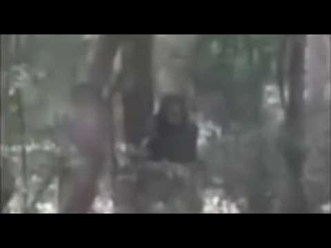 A family noticed a terrifying creature watching them in the woods