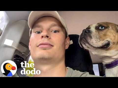 Shelter Dog Was Returned Again and Again Until One Guy Stepped In | The Dodo