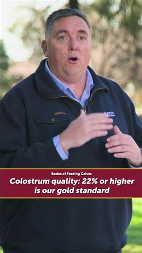 Basics of Feeding Calves | Colostrum
