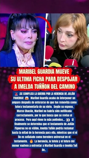 🔥 ¡MARIBEL GUARDIA CONTRAATACA! EL AMPARO QUE PODRÍA CAMBIAR LA HERENCIA DE SU NIETO