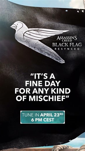 The Jackdaw is home to many of us.