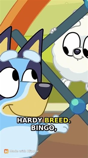 BLUEY TEACHES LESSONS WE ALL NEED ❤️