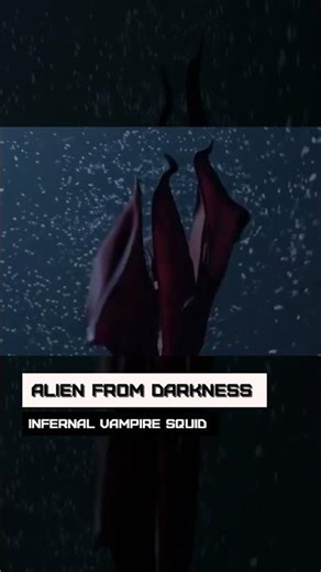 Alien from darkness. Infernal vampire squid
