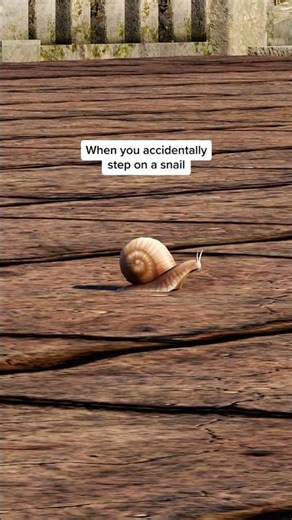 Do NOT step on a snail 🐌🙏