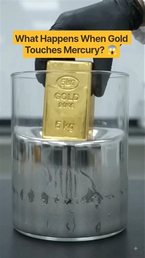 What Happens When You Put 5kg Gold in Mercury? 😱 Gold Amalgamation #shorts #science