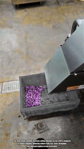 Best Innovation Onion Dicing Machine: How to Chop Onions Uniformly Fast