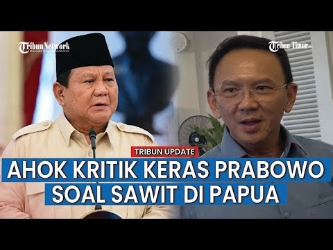 Jangan Papua, Saran Ahok ke Prabowo Lokasi Cocok Buka Perkebunan Sawit