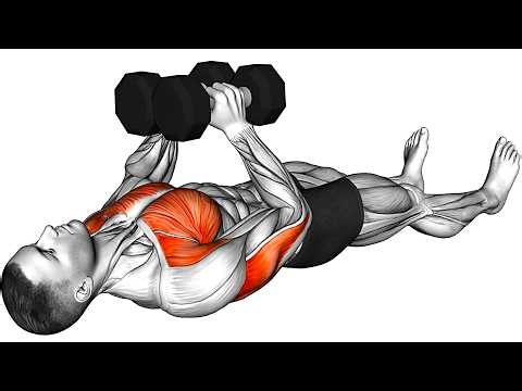 Total Body Dumbbell Exercises - Build Muscle!