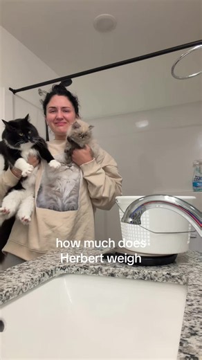 i’ll be ugly crying for the rest of the day if anyone needs me | herbert ankle