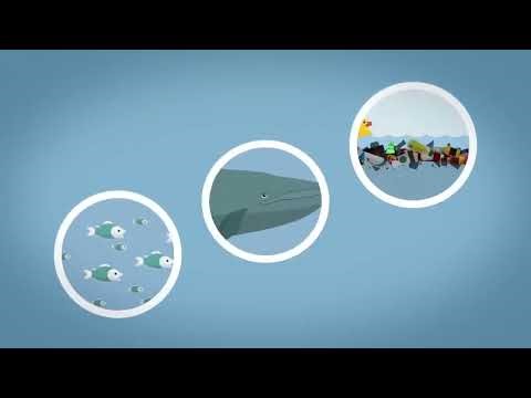 Kurzgesagt In a Nutshell! The Gulf Stream Explained