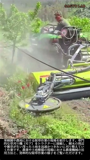 果樹園の雑草を一新規なぎ払う！ 専門草刈機による 効率的な除草作業 #worker #process #agriculture #machinery #mower