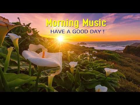 THE BEST MORNING MUSIC - Wake Up with Peace, Joy & Positive Energy - Best Morning Healing Music