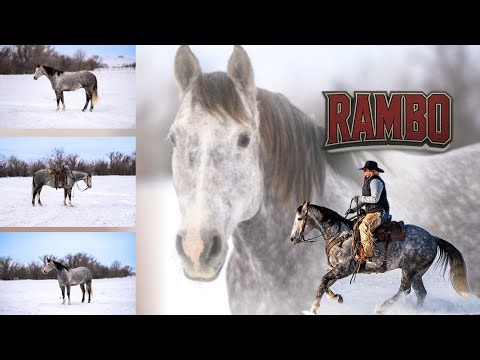 A Greyt Remedy "Rambo"