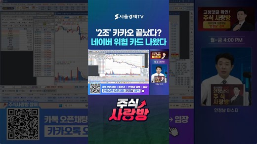 '2조 잭팟' 카카오 끝난 줄 알았죠? 네이버 위협할 카드 나왔다
