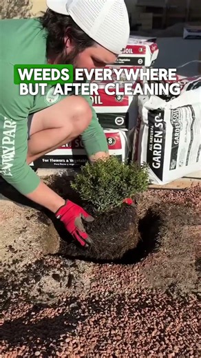 Garden Makeover: How I Created the Ultimate Relaxation Spot