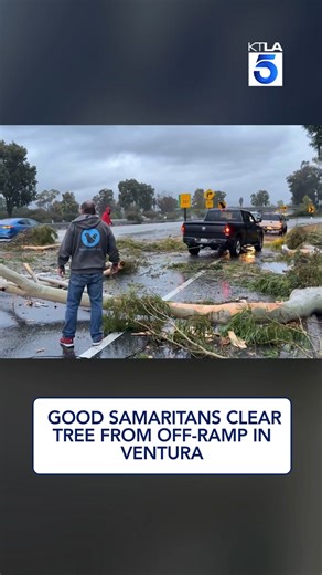 Strong winds knocked down a tree onto the eastbound 126 freeway at the Peck Road off ramp in Ventura County. A group of good Samaritans worked together to clear the roadway before crews arrived. #venturacounty | KTLA 5 News