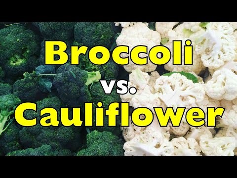 Broccoli vs. Cauliflower — Same Plant, Completely Different Vegetables [ID0918]