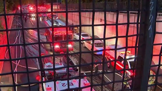 Metro pulls hybrid diesel bus fleet after Metrobus caught fire