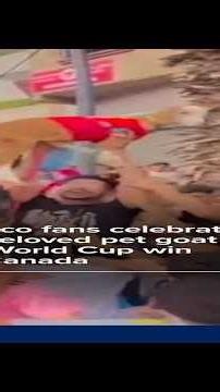 Morocco fans celebrate World Cup victory with beloved pet goat