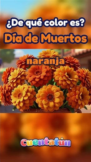¿De qué color es? Día de Muertos 🌼 Día de Muertos para niños | Cuentatún #Shorts