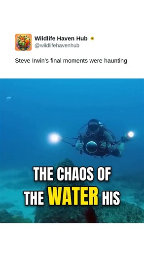 Steve Irwin's final moments were haunting