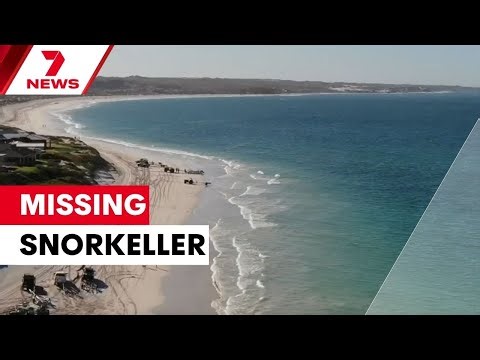 Desperate search for missing snorkeller at Ledge Point Beach | 7NEWS