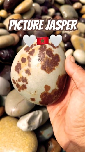 Lovely picture jasper from the southwest coast, Morocco. 🇲🇦