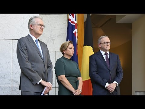 Terms of reference for Bondi Royal Commission examined