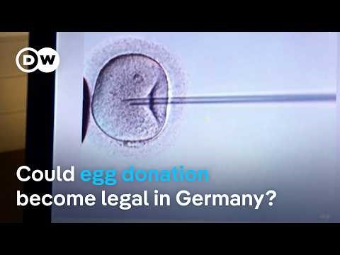 'I had no other choice': Why women leave Germany to have children | DW News