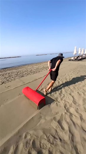 Beach treasure hunt reveals hidden dollar finds