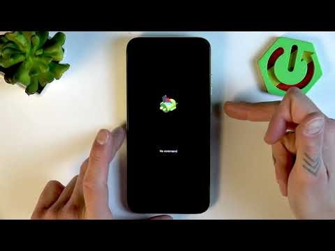 MOTOROLA Moto G67 – Cómo entrar en Recovery Mode (Modo recuperación)
