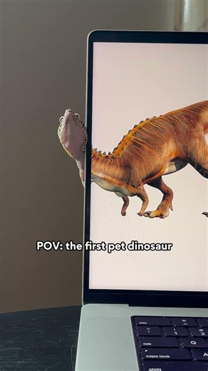 DYK: Both reptiles with shared features, but dinosaurs evolved upright, geckos stayed sprawling 🦎🦖