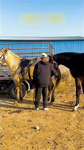 𝙱𝚎 𝚠𝚑𝚘 𝚢𝚘𝚞 𝚠𝚊𝚗𝚝 𝚝𝚘 𝚋𝚎 𝚊𝚗𝚍 𝚗𝚘𝚝 𝚠𝚑𝚊𝚝 𝚘𝚝𝚑𝚎𝚛𝚜 𝚠𝚊𝚗𝚝 𝚝𝚘 𝚜𝚎𝚎