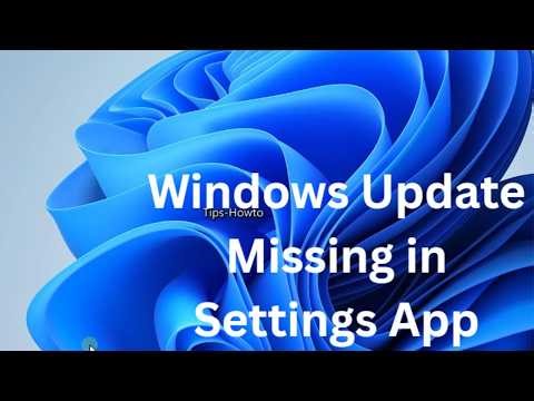 Windows 11 Update Option Missing? How to Fix Windows Update Not Showing