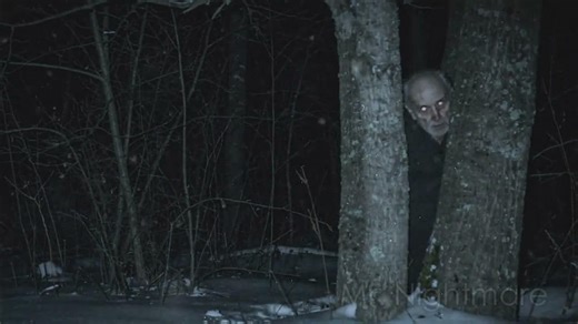 3 Very Scary TRUE Woods Horror Stories