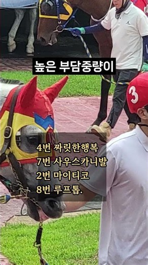 26. 10. 11 서울경마 11경주 핵심