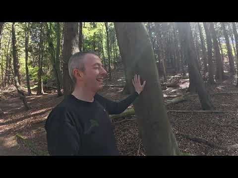 Psychic Tree Talk Pressmennan Woods | What are we not seeing? Are scaler weapons slowing ascension?