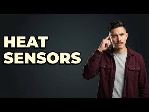 What Does The Predator See With Thermal Vision?