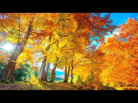 "Autumn Along the coast" Beautiful Relaxing Music, Peaceful Instrumental Music by Tim Janis