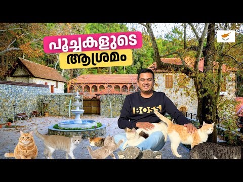 Goodbye Cyprus & Welcome Amsterdam ✈️ Exploring Cat Monastery & Akrotiri