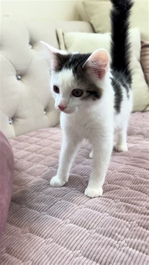 Ed Hardy's Inspiring Journey to Finding a Home